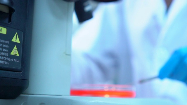 年轻的亚洲女科学家在实验室里用显微镜工作视频素材