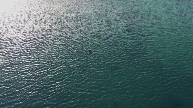 Playa Sta地区的鸟瞰图。克鲁兹与鹈鹕和海龟- Curaçao/加勒比/荷属安的列斯视频下载