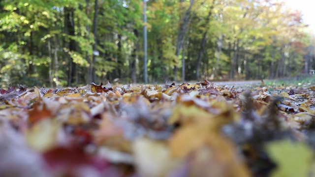 在秋天的乡间小路上行驶视频素材
