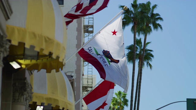 一栋大楼外飘扬的加州国旗视频素材