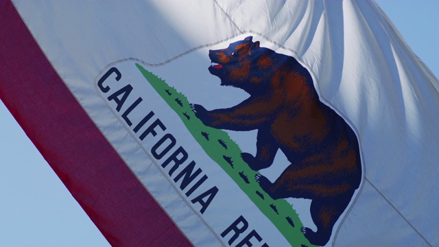 加州的旗帜视频下载