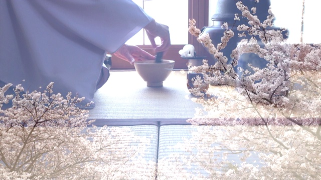 传统茶道“樱花节”视频下载