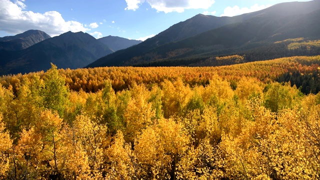 日落金色山谷-一个秋天的日落视频轻风搅动一个浓密的彩色白杨林在一个山谷底部陡峭的山峰萨沃奇山脉。双湖，莱德维尔，美国科罗拉多州。视频下载