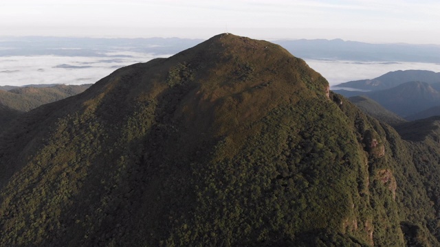 鸟瞰一个热带雨林的山顶视频素材