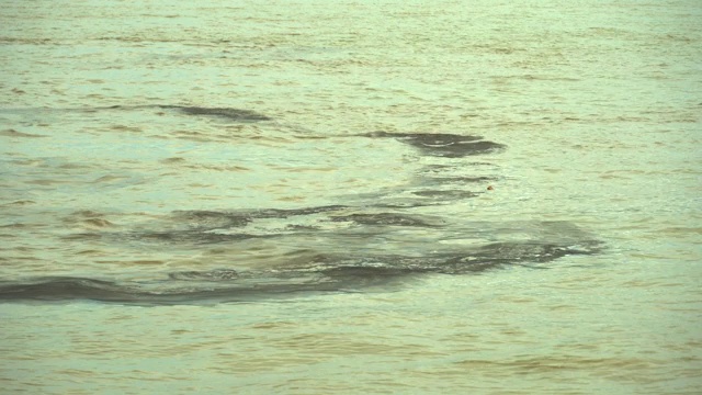 石油泄漏在海面上。视频下载