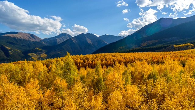 日落金色山谷-一个秋季日落的视频，在萨沃奇山脉陡峭的山峰底部的山谷中，一个密集的彩色白杨树林。Leadville,美国科罗拉多州。视频下载