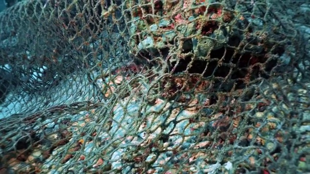 水下废弃鬼网渔网堵塞珊瑚礁视频下载