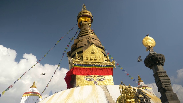 在一个有风的日子里，鸽子从尼泊尔著名的猴庙飞走视频下载