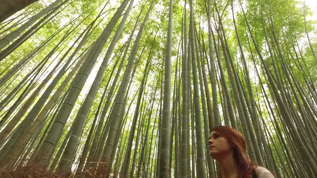 探索京都的岚山竹林视频素材