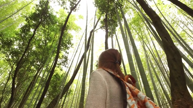 探索京都的岚山竹林视频素材