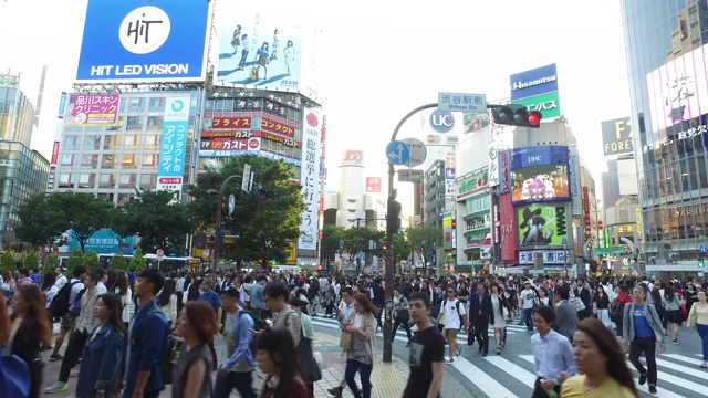 日本东京涩谷,视频素材