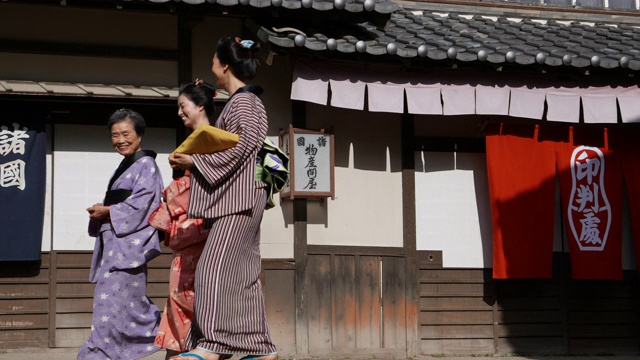 日本京都的艺妓视频素材