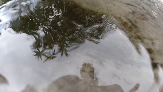 水坑上的水滴飞溅和波浪视频素材
