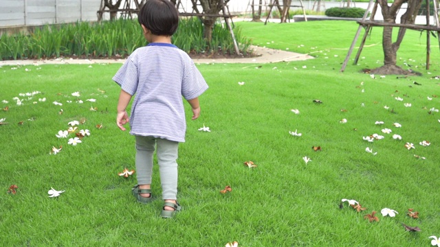 一个小男孩在花园里玩视频下载