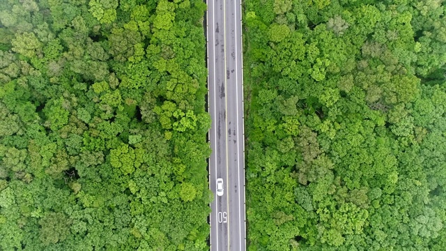 韩国济州岛西浦1100路的汽车视频素材