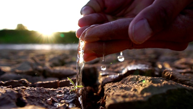 用我们的双手把贫瘠的土地上的水减少成小树视频素材