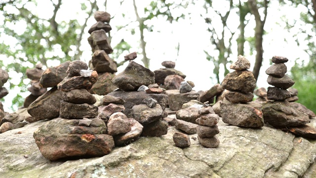 森林中的一堆石头视频素材