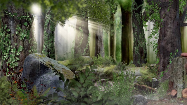 魔法童话森林与阳光4k视频素材