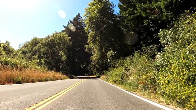 在加利福尼亚的杰克逊森林里开车视频素材