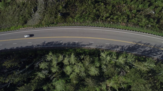 春天的清晨，俄勒冈州里德斯波特附近树木繁茂的山区中，101公路“太平洋海岸风景小径”。向下看，正上方的无人机视频与平移摄像机运动。视频下载