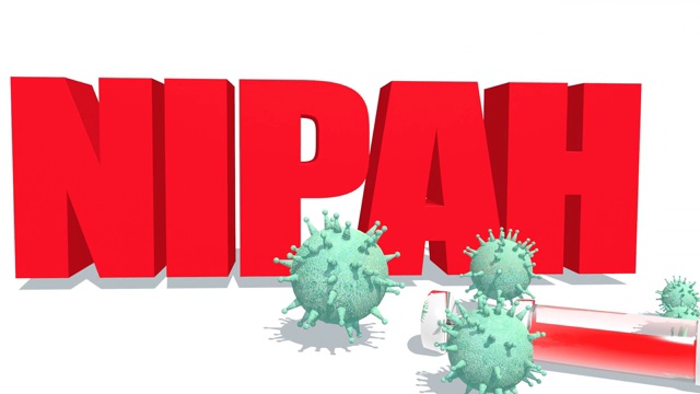 尼帕病毒疾病的概念视频素材