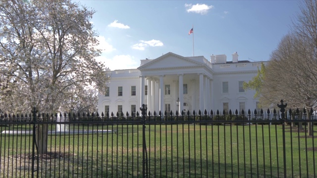 白宫和樱花，华盛顿特区，美国，北美视频素材
