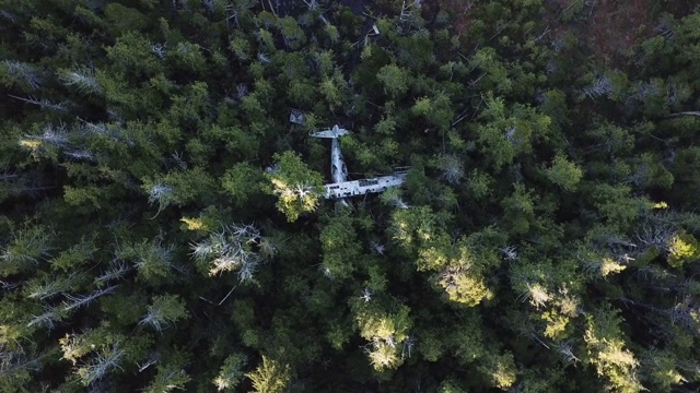 在加拿大不列颠哥伦比亚省森林中飞机残骸上空盘旋视频下载