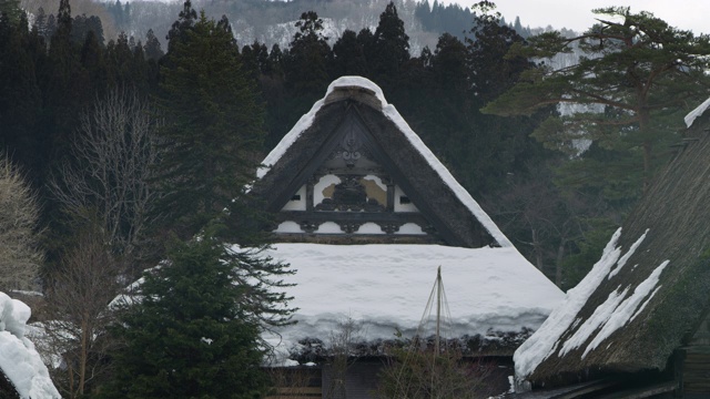 白川的低角度，被雪覆盖的屋顶视频下载