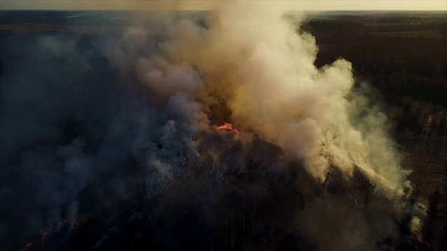 大火在森林里，燃烧着树木和草。自然火灾视频素材