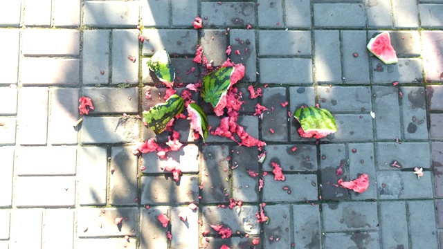 多汁的西瓜在铺路板上摔碎。视频下载