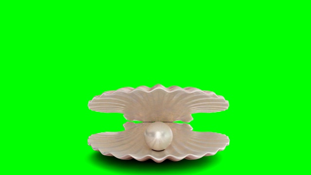 在一个绿色的背景下，打开和关闭贝壳内的珍珠。首饰珠珠。辉煌的牡蛎珍珠球豪华配件。聪明的海洋珍珠。循环3D 4K动画视频下载