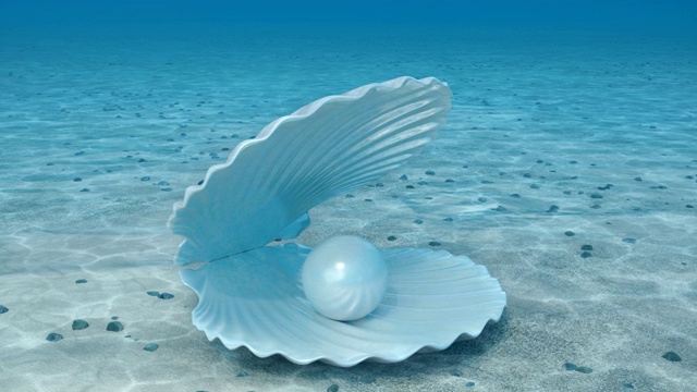 海底贝壳里美丽的珍珠视频下载