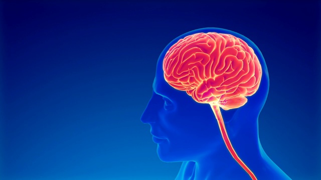 大脑神经元活动视频素材