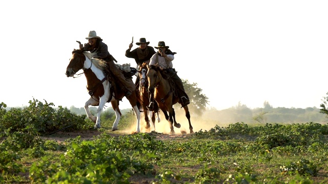 一群年轻的牛仔拿着枪骑着马在草地上奔跑视频素材