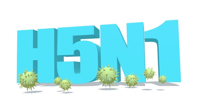 H5N1疾病的概念视频下载