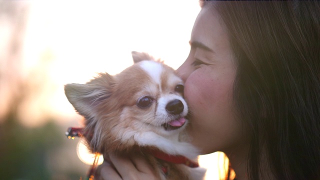 可爱的宠物年轻女子亲吻狗视频素材