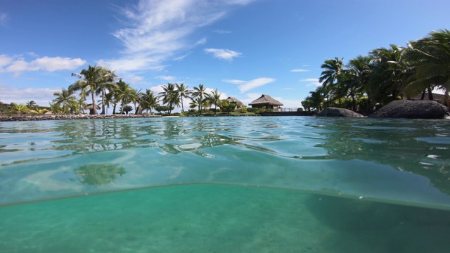 一对男女在塔希提岛的一个度假酒店的泻湖里浮潜和游泳。视频下载