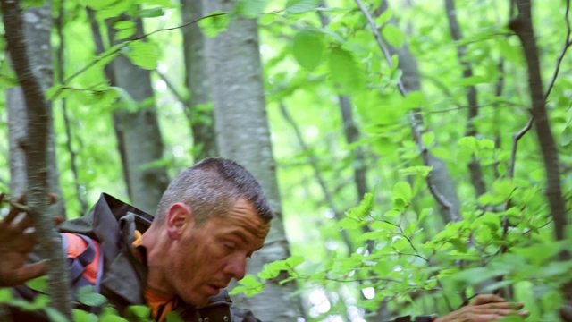 一个背着大背包的人走在茂密的森林里视频下载