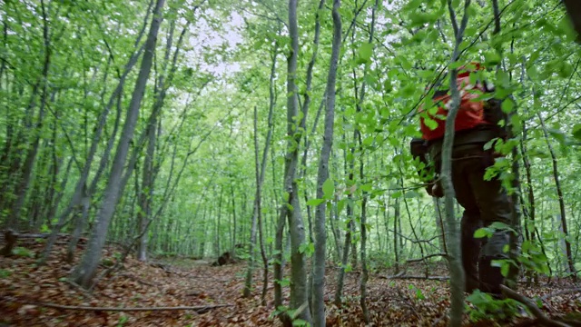 在森林中奔跑的男性野外生存专家视频下载