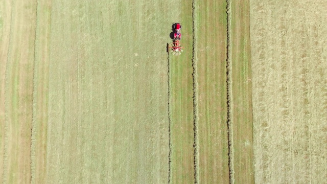 拖拉机收割田地的鸟瞰图视频素材