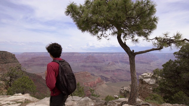 十几岁的男孩看着大峡谷国家公园的南缘视频素材