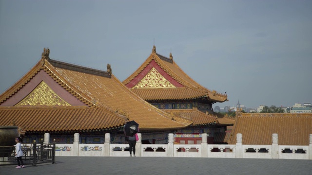 人们在历史上的紫禁城对着天空——中国北京视频素材