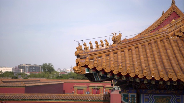 中国北京，紫禁城的传统屋顶结构上的动物雕像视频素材