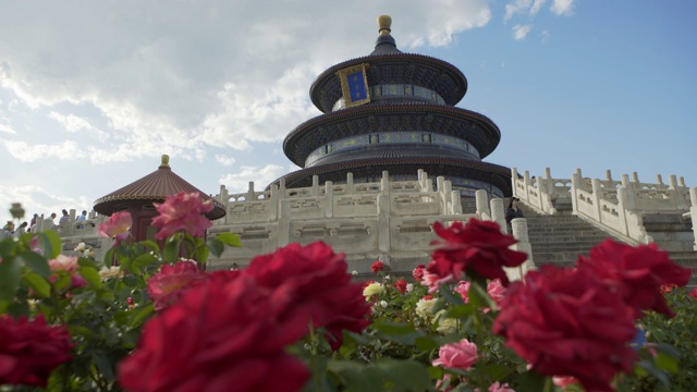红色鲜花盛开的历史建筑的特写——中国北京视频下载