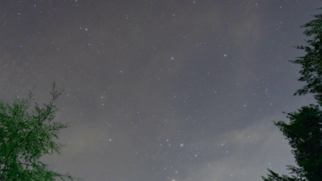 T/L从松树林夜空与移动的星星视频下载