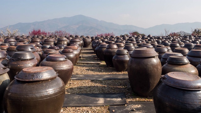 韩国全罗南道光阳前花村清梅农场的木桶视频下载