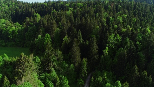 鸟瞰通往森林的乡村道路视频素材