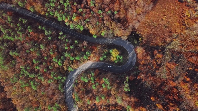 高空鸟瞰阳光明媚的秋日森林中蜿蜒的山路。视频素材
