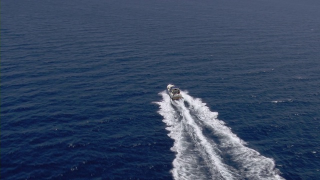 海上行驶的快艇视频下载