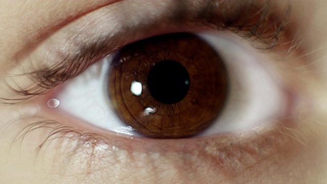 这是人类棕色眼睛的特写视频素材